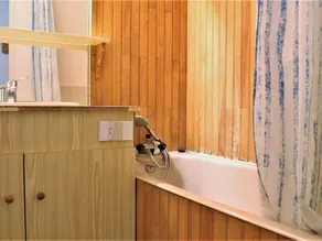 Komfortable Wohnung mit Pool, Tennis und Haustieren in Risoul - Image 4
