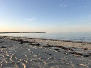 Come to the Cape! Get away for the weekend! Private, peaceful beach! - Image 5