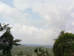Palm Valley Resort, a calm place for tourists - Image 4