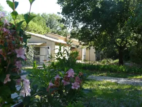--- Lavender Cottage --- - Image 4