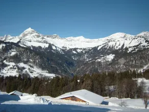 Studio cosy pour 4 aux pieds des pistes, animaux admis, parking - Image 5