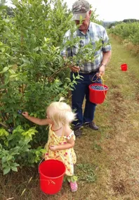 Gæstehuset på Burdick Blueberries Farm - Image 3