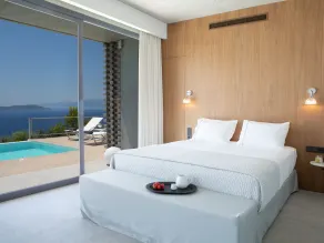 Brand New Villa Fyki con splendida vista sul mare nella pittoresca Sivota! - Image 4