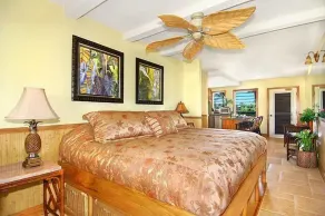 Fabulous condo, great ocean views, steps from a great snorkeling beach. - Image 4