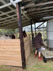 RV or horse trailer hookup with pasture for horses - Image 4