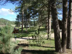 HUNTER'S CABIN,  Perfect in every way for your Black Hills getaway, near Custer - Image 5