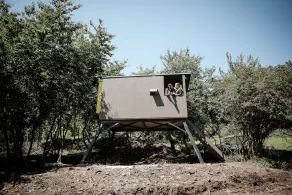 Glamping is unforgettable experience for nature lovers. - Image 2