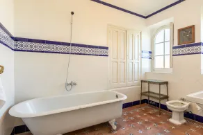 Manor house in the middle of Hacienda de Olivar - Image 4