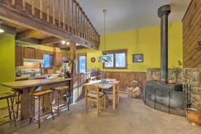 Spacious Catskill Mountains ski cabin with fire pit - Image 5