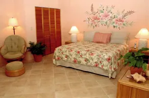Estate Belvedere - une villa de luxe au coeur de Cane Bay - Image 2