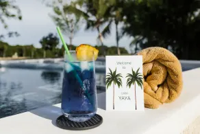 Luxurious 5 Bedroom, Premium Golf & Sea View Villa | Punta Cana Resort & Club - Image 3