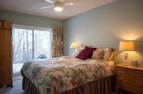 3BR Ski-In/Ski-Out Condo at Okemo with a Fireplace - Image 3