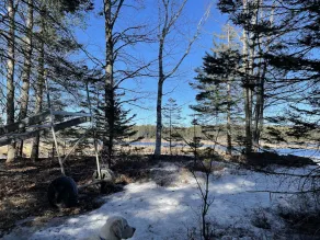 Lakefront Cabin/Hot Tub/Dock Lake Access/Ski Sugarloaf Mountain12mi/Trail Access - Image 2