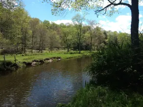 Serene Creek Frontage - Image 4