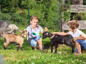 Schwarzenlehen - Image 3