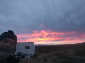 Country Camping, RV Park at Desert Gardens Oasis in Lobo, TX - Image 3