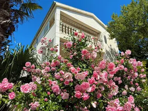 Villa Theresa Croatia 220m above the Adriatic Sea with  pool,whirlpool and sauna - Image 4