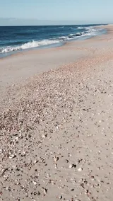Genießen Sie einfach den Zugang zum Meer weniger als 100 Meter entfernt !! - Image 4