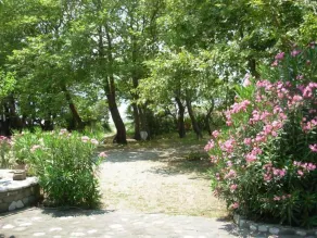 Maison / villa - Marathias - Image 5