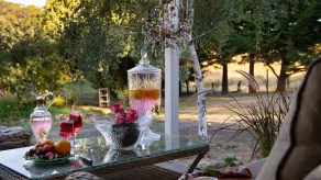 Wisteria Hysteria - Image 4