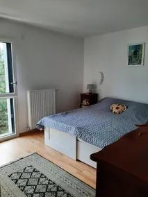 Apartment - Recent large two-room apartment- St JORIOZ - Lake Annecy - Image 4