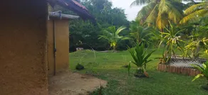 nice place to yoga and meditation cabanas with nature - Image 3