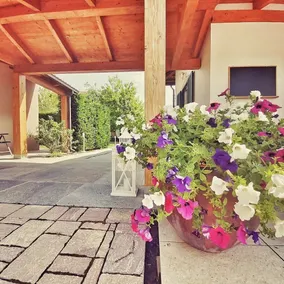 Apartment/ flat - Barolo - Image 5