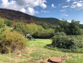 Gite Daim, Gite en Pleine Nature - Image 2