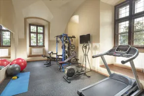 Hotel Gino Park Palace - Kaštieľ Orlové - Image 3