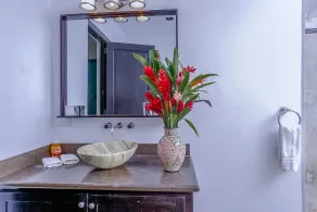 Contemporary ground-level suite with large patio, walk to the beach - Image 4