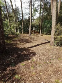 for en rolig og afslappende ferie - Image 4