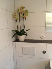 Holiday House in Winterberg-Niedersfeld, only 9 km from Winterberg, quiet location - Image 4
