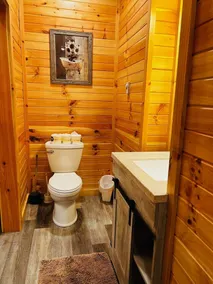 RIVERSIDE RENOVATED 1950's schoolhouse, HOT TUB, Pellet Stove, Pet Friendly - Image 4