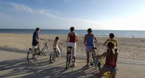 Between pine forest and ocean - Image 3