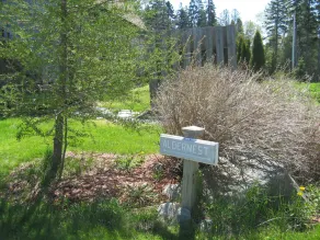 Aldernest Loft - \"Ruhezone\" von Mount Desert Island / Acadia National Park - Image 5