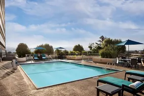 Great Deal! 4 Relaxing Suites Near Winchester Mystery House, Pets are Allowed - Image 5