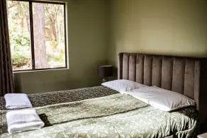 Chalet 2: Hestevenlig, god adgang til buskørsel, elektrisk indhegnet rundgård - Image 3