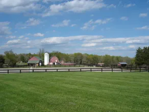 Escape the City! Plain Outside; Gorgeous Inside; Huge Horse/Cattle Farm - Image 3