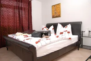 apartment for 2 persons in a villa near the Elb coast , easeful and sunny - Image 2