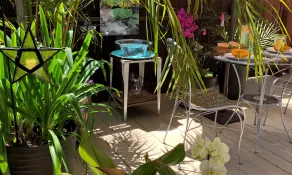 Expérience de vacances à Maui Upcountry - Image 3