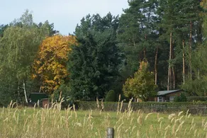 Kemberg - Vacation Home in the Dübener Heide - Image 5