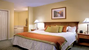 Smoky Mountains 1 Bedroom Deluxe - Image 5