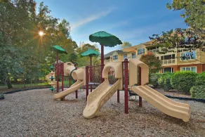 Marriott Resort in Historical Williamsburg - Close to Theme Parks - Image 3