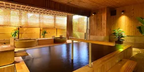 Shibu no Yu - Image 2