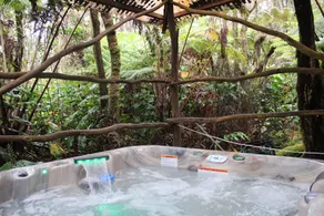 Peaceful Volcano lodge with a hot tub - Image 5