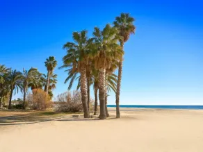 Holiday Home Annamaria by Interhome - Image 5