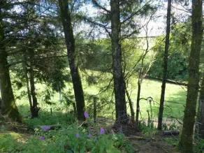 A Lodge set in a Quiet Location with country Views - Image 3