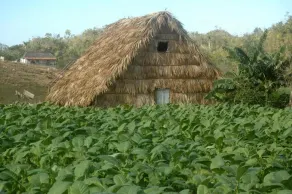 Casa Machin - Image 3