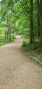 Hunters Delight - Image 4