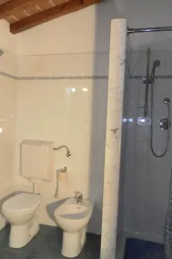Typischer Wohnsitz inmitten von Olivenbäumen im Herzen der Toskana - Image 3